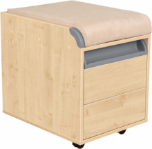 Тумба Дэми ТУВ.10 подкатная на 2 ящика с подушкой Детская мебель / Тумбы и стеллажи