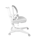 Комплект Anatomica Genius парта + кресло + надстройка + выдвижной ящик + подставка для книг клен/серый с серым креслом Funken